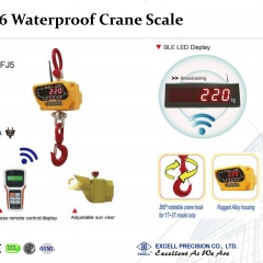 IP66 Waterproof Bluetooth Crane Scale FJ5 IP66 Waterproof Bluetooth Crane Scale FJ5